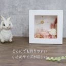 ���i�C���[�W