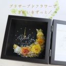 �u���E���z